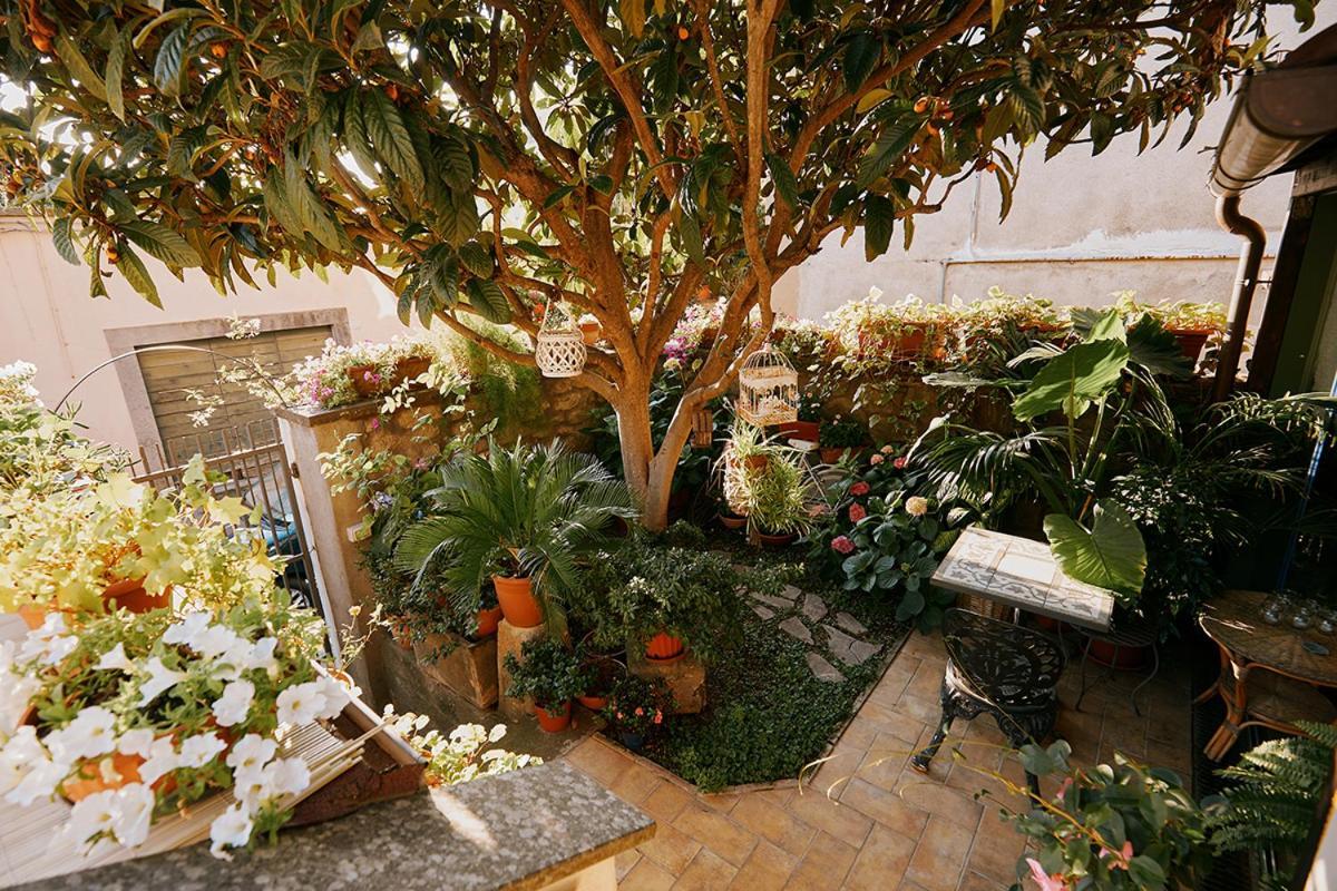 La Casetta Di Giusy - Alloggio Turistico فِتيربو المظهر الخارجي الصورة
